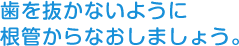 歯を抜かないように 根管からなおしましょう。